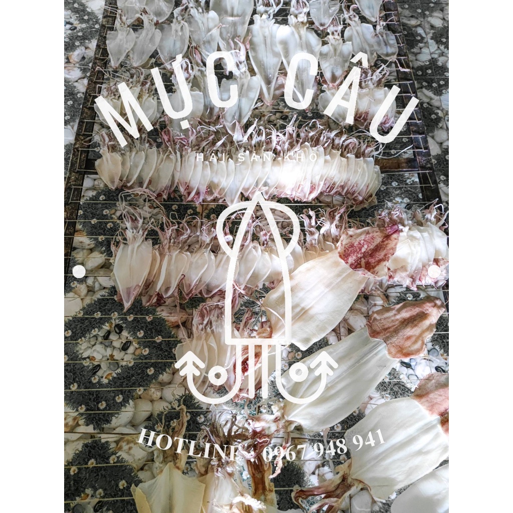 🦑ĐỒ ĂN VẶT🦑 1 con MỰC ỐNG Mực khô sấy khô size to - Đảm bảo ngọt, dày cơm | BigBuy360 - bigbuy360.vn