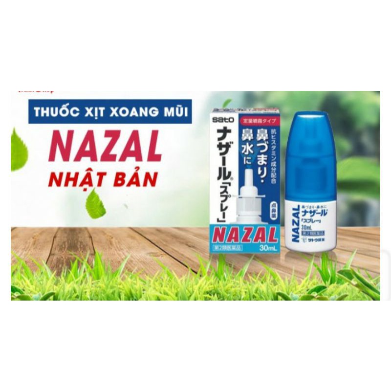 Hộp lọ xịt mũi Nazal 30 ml