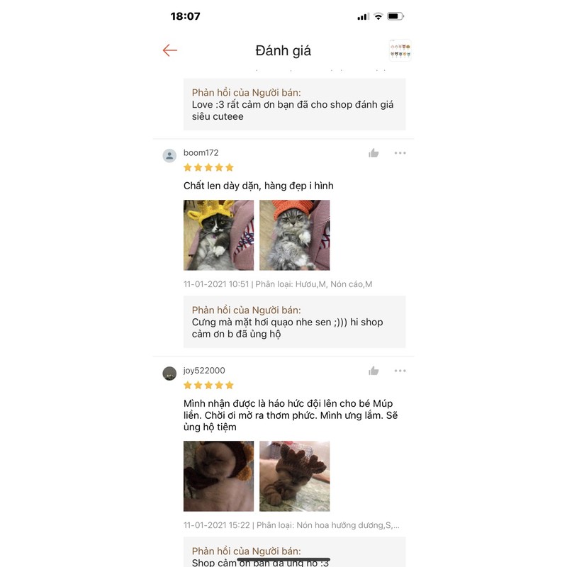 Nón len nhiều mẫu cho mèo, cún, thỏ,....