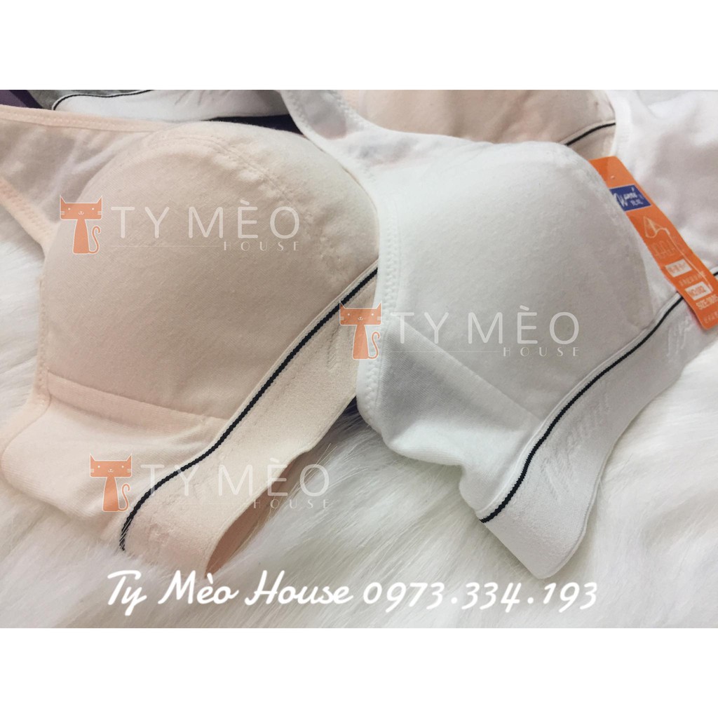 🐰 Áo lót Không Gọng học sinh Cotton 🐰