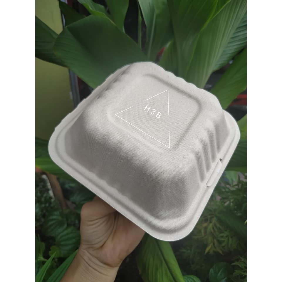 Hộp bã mía  vuông / 50 hộp | BigBuy360 - bigbuy360.vn