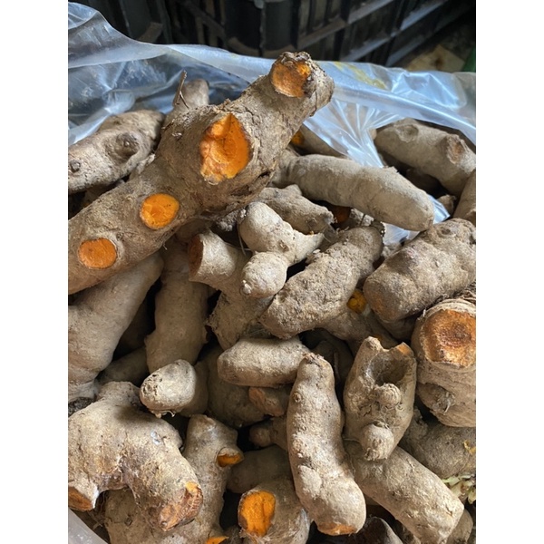 1kg Củ nghệ tươi, nghệ già vàng - tươi ngon mỗi ngày