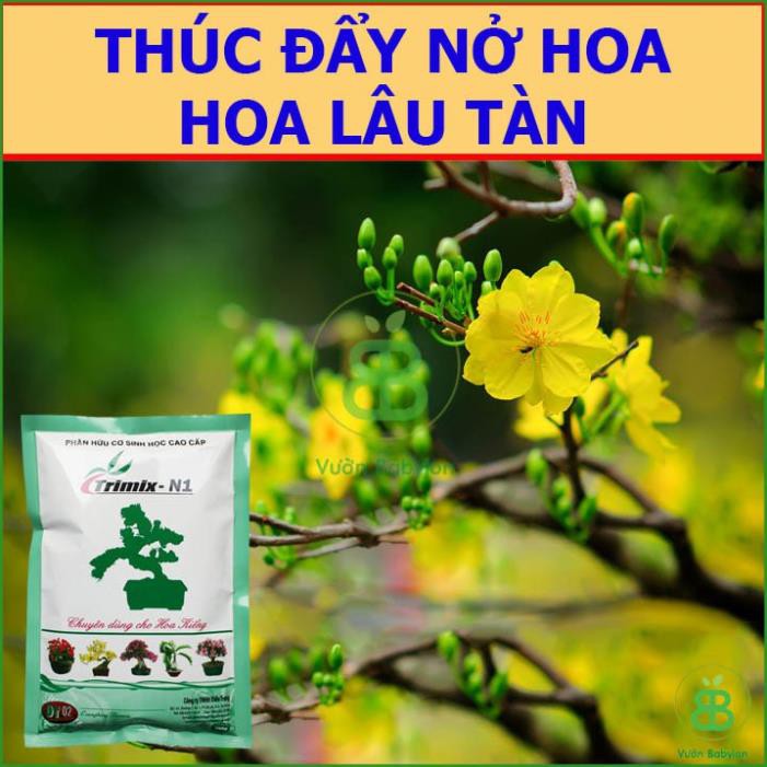 (NEW) Phân Hữu Cơ Sinh Học Bình Điền