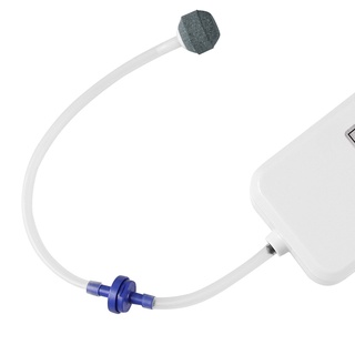 Va Van Kiểm Tra Bể Cá Một Chiều 4mm id h