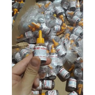 Lọ diệt kiến gián tận gốc