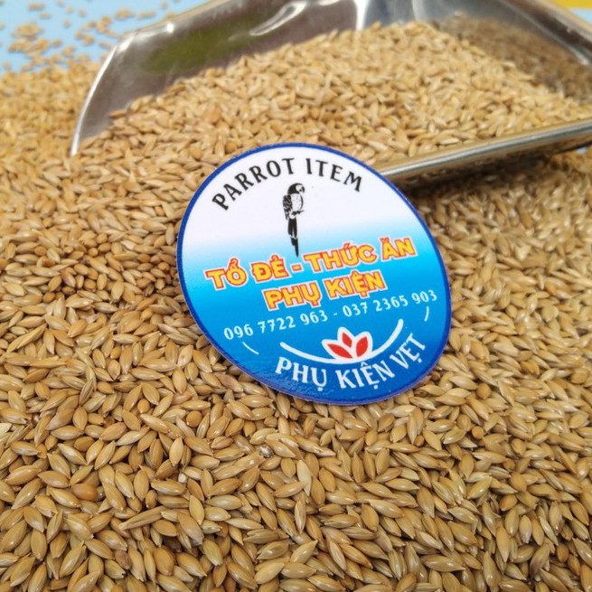 1kg hạt láng Argentina cho vẹt, yến phụng, và các dòng chim nhỏ
