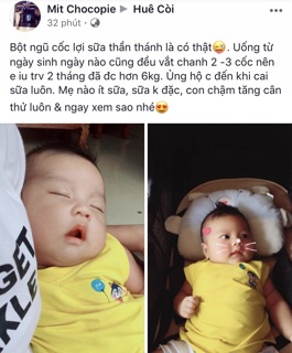 Túi Lợi Sữa LinhMilk