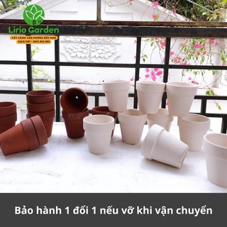 combo 10 chậu đất nung trắng kích thước 6.5x6.5cm