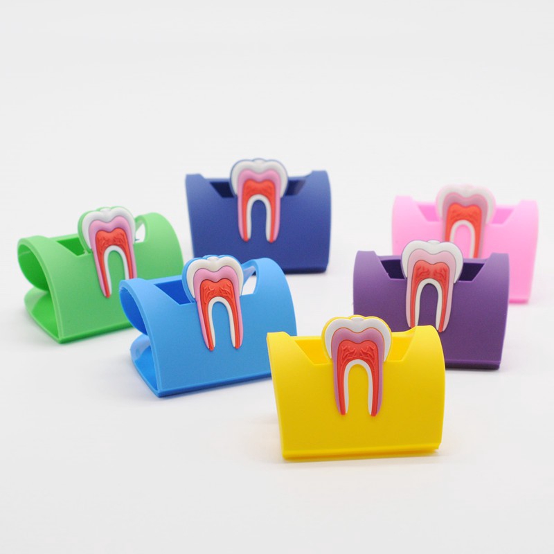 Dentist Lab Rubber Molar Shaped Name Card Holder Case Display Stand 6 Colors