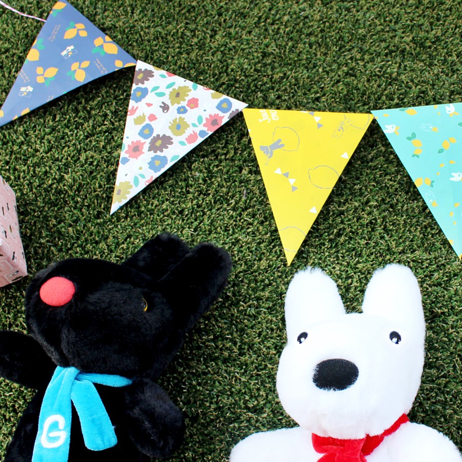 Giấy tự làm Gaspard et Lisa / 20 tờ / hai mặt / 29,7cmx21cm