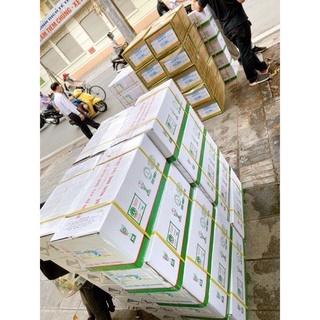 Thu.ố.c diệt côn trùng bestox 1L