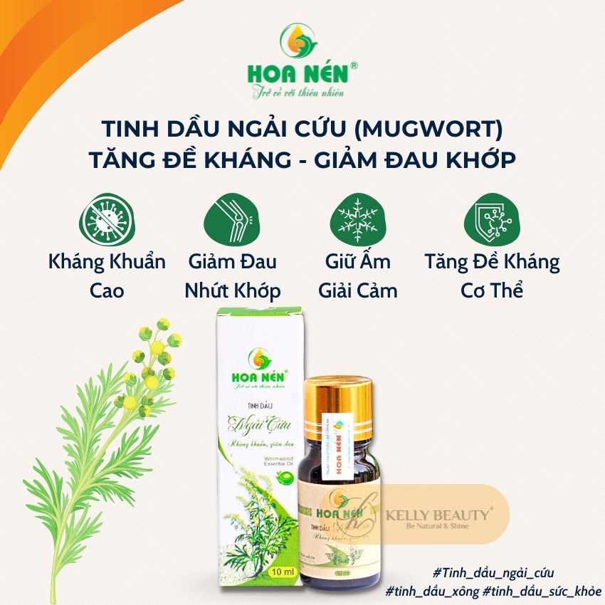 Tinh Dầu Ngải Cứu HOA NÉN 10ml - Kháng Khuẩn Cao, Giúp Tăng Sức Đề Kháng, Tránh Suy Nhược Cơ Thể | KELLY BEAUTY