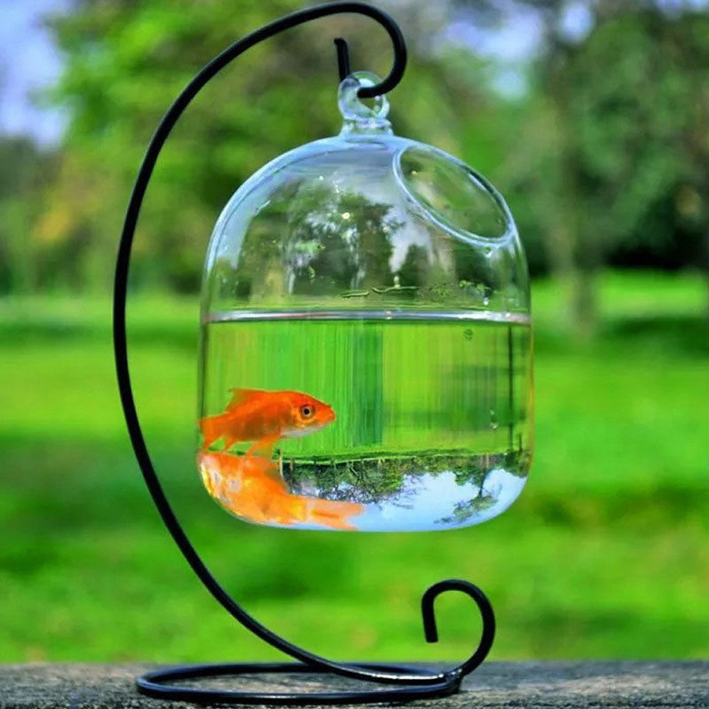Bình Hoa Thủy Tinh Trong Suốt Treo Trang Trí Sân Vườn