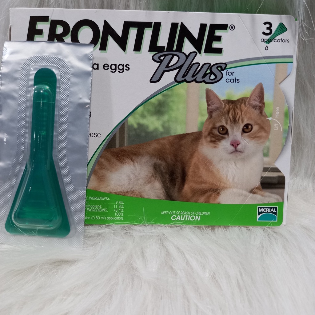 Nhỏ gáy trị ve rận cho mèo FrontLine