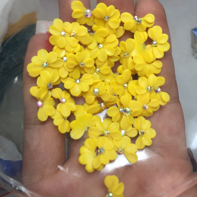 Combo 190g bột nặn hoa giá 510k