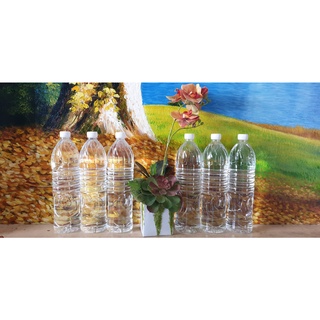 Combo 6 chai Nước tiệt trùng Anolyte KT