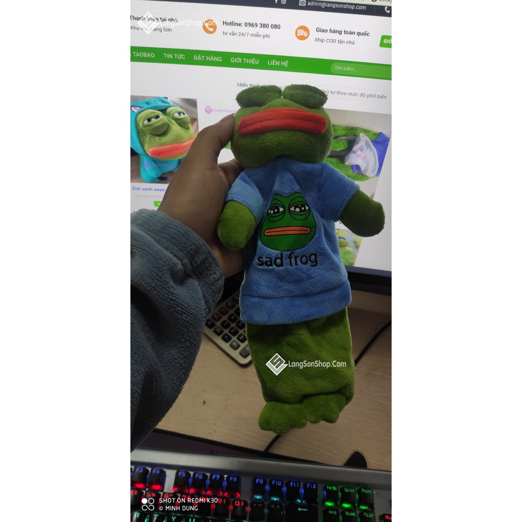Túi đựng bút Pepe cho fan Ếch xanh Pepe sad