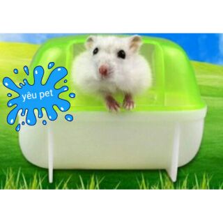 Nhà tắm hình chữ nhật cho hamster