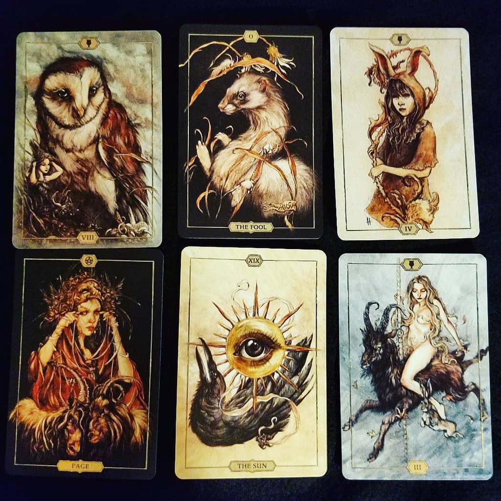 Bài Hush Tarot