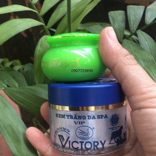 Combo bộ đôi ngày đêm kem nám cá ngựa lady osaka + Victory Hoa Việt Spa