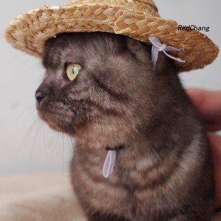 Nón Cối Rộng Vành Cho Thú Cưng