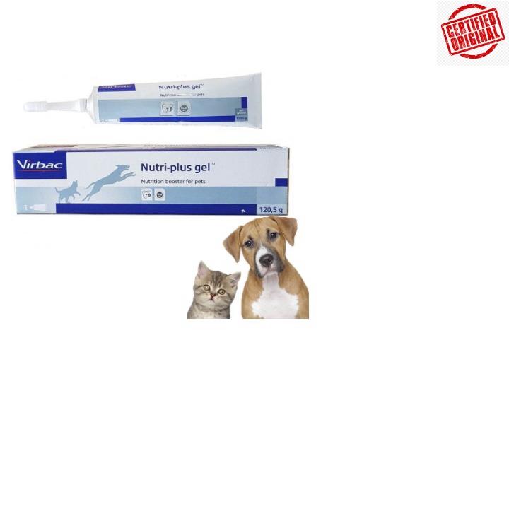 Nutri plus gel virbac - Gel dinh dưỡng cho chó mèo