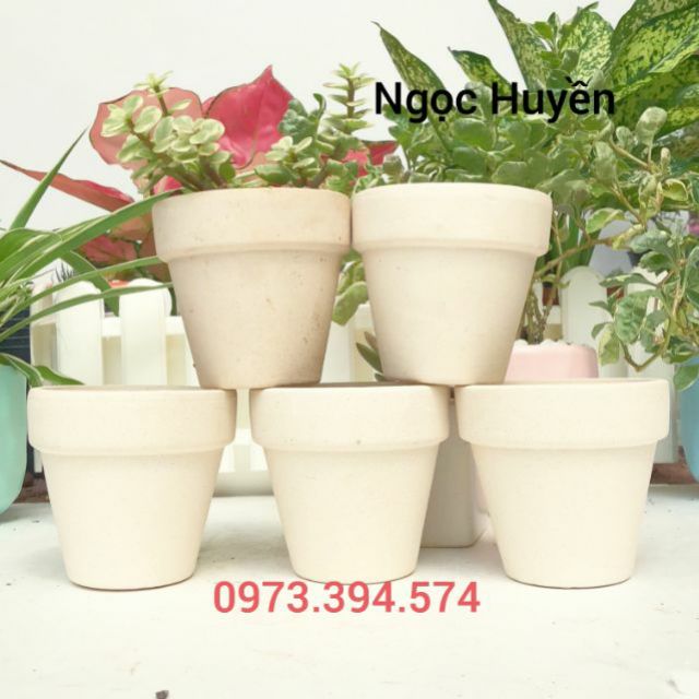 Combo 3 chậu đất nung size 7cmx7cm