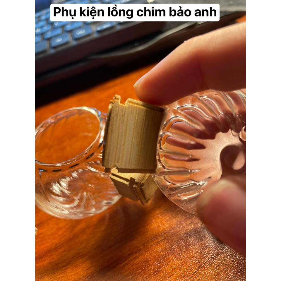 CÓNG THỦY TINH XOẮN ỐC TAI TRE  ĐẸP CHO CHÀO MÀO, KHUYÊN, MI LOẠI 1