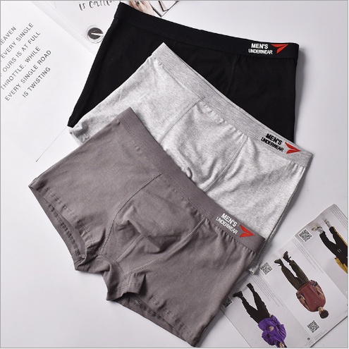 HỘP 4 Quần sịp boxer Cotton cao cấp dành cho nam kháng khuẩn xuất nhật LOTNAM09