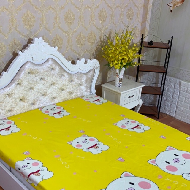 Sét ga gối