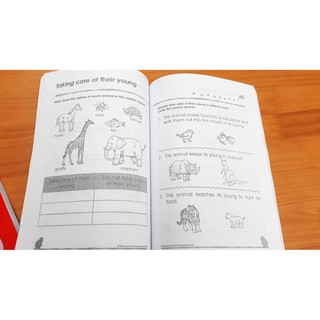 Kindergarten math/Science/English