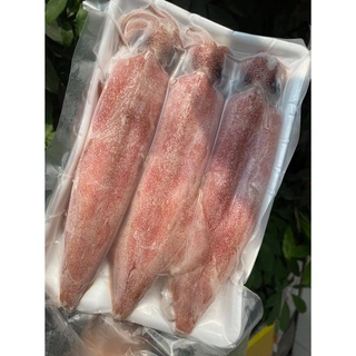Mực ống câu to 3-4 con/kg