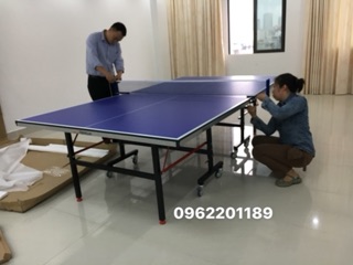 Bàn bóng bàn Doublefish 201V