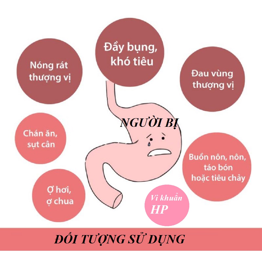 DẠ DÀY GASTRO NB PLUS