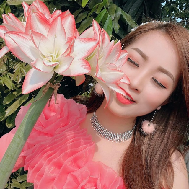 hoa cây cảnh giá sỉ_Tu Vũ