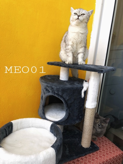 Cattree cho mèo - Trụ cào móng cho mèo 2 tầng size lớn