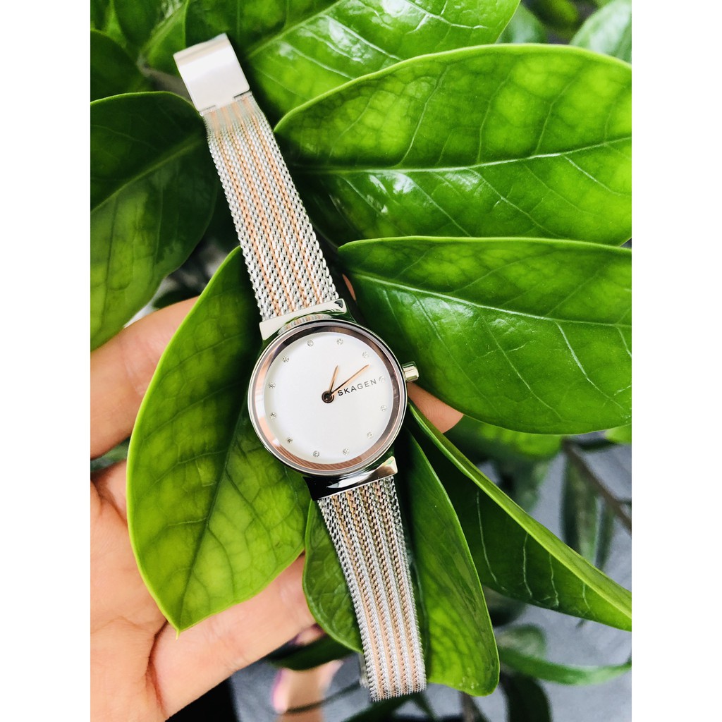 Đồng hồ nữ Skagen SKW2699.