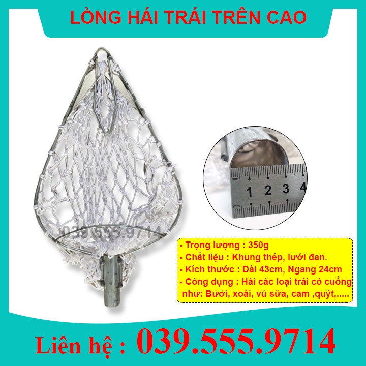 [Rẻ vô địch]  LỒNG ( VỢT) HÁI TRÁI TRÊN CAO