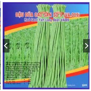 HẠT GIỐNG ĐẬU ĐŨA CAO SẢN