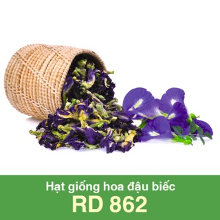 Hạt giống đậu biếc 861