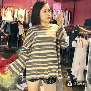 Áo pull