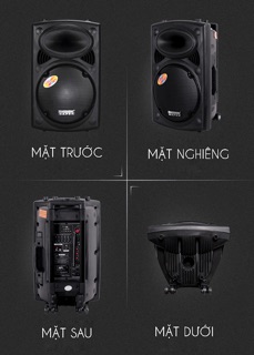 Loa kéo Temeisheng DP-297L
