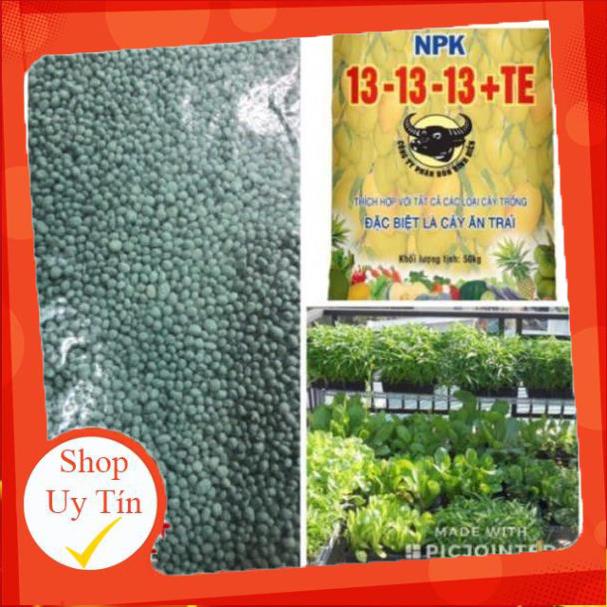 1 kg npk Đầu Trâu 13 13 13 TE giá rẻ hàng tốt nhất