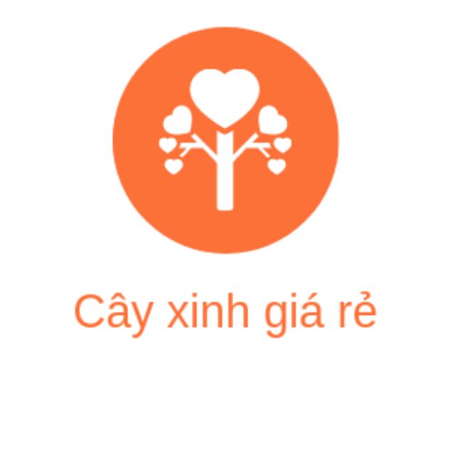 cây xinh giá rẻ