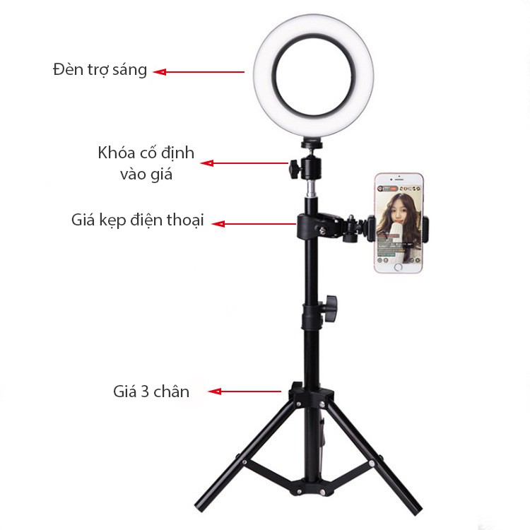 Đèn trợ sáng livestream ring light 8 inch 10 inch 3 chế độ màu có thể điều chỉnh độ sáng kèm giá đỡ có sạc pin USB thích