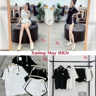 Bộ Đùi Nữ Sọc Vải Đẹp Mã 417 Xưởng May HKN