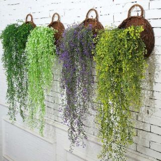 Dây leo lá rong decor trang trí