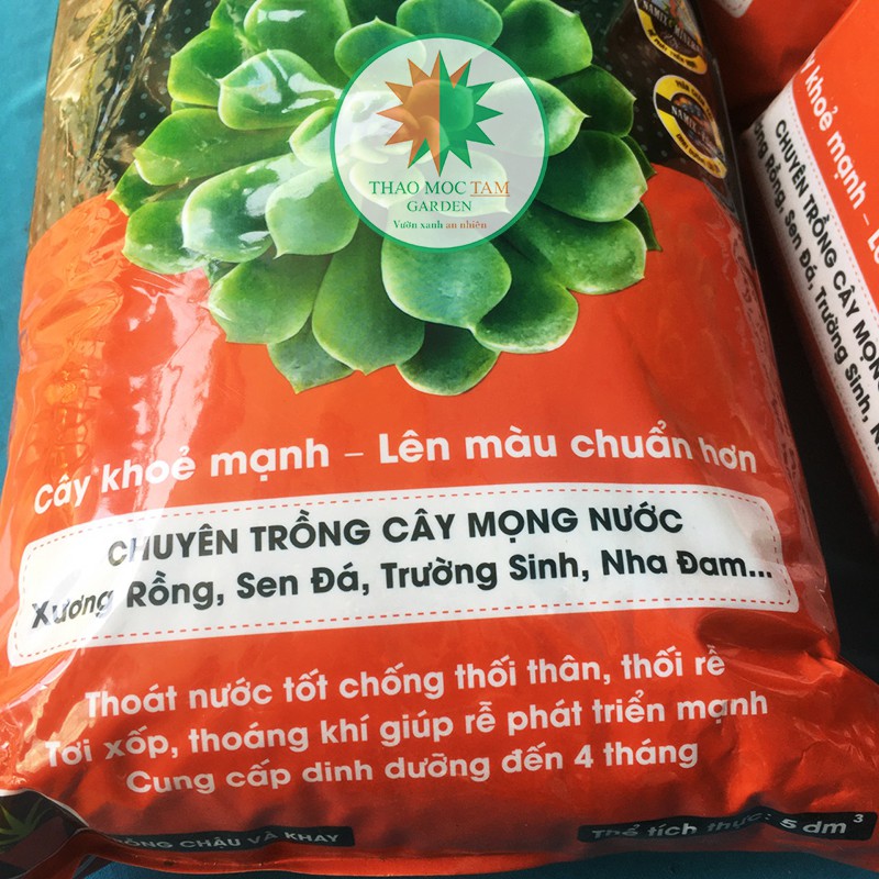 Đất trồng Sen đá Namix  - Chuyên trồng cây mọng nước như Xương rồng, sen đá, nha đam...