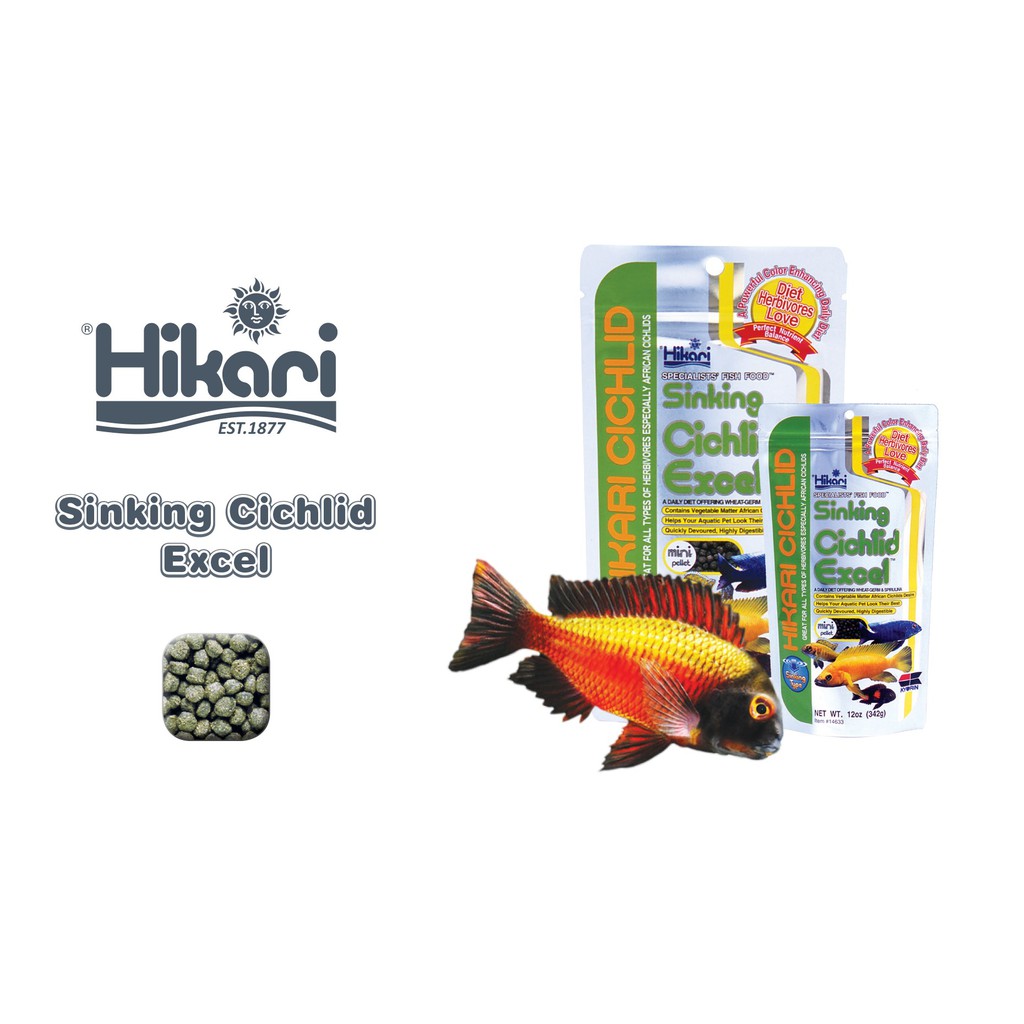 Thức ăn cá Ali hạt chìm 342g Hikari Sinking Cichlid Excel hàng Nhật