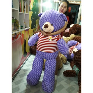 Gấu bông Teddy 1M2